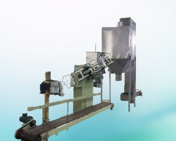 魯工造粒機的配套設備----提升機